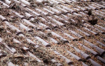 Wacton Common roof cleaning companies