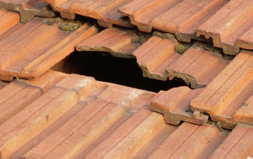 roof repair Wacton Common, Norfolk
